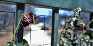 φωτογραφία: Eurokinissi/ΛΥΔΙΑ ΣΙΩΡΗ