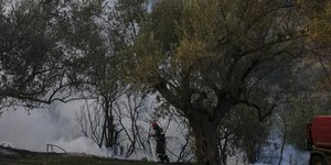 Οδηγήθηκε στον Εισαγγελέα Πρωτοδικών Χαλκιδικής
