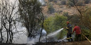 Στην περιοχή Κορακιές Ακρωτηρίου