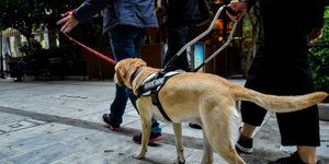 Καταβολή αναπηρικών επιδομάτων