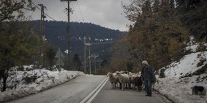 Κτηνοτροφία