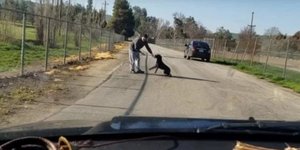 Ανδρας εγκαταλείπει τον σκύλο του