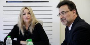 Συνάντηση της Φώφης Γεννηματά με κοσμήτορες του Ελληνικού Ανοικτού Πανεπιστημίου (Φωτο: Eurokinissi)