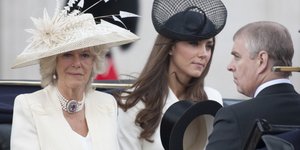 Splash / Ideal Image