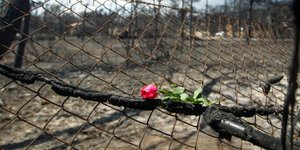 Στους 96 οι νεκροί στο Μάτι (Φωτογραφία: Eurokinissi/ ΔΗΜΟΠΟΥΛΟΣ ΘΑΝΑΣΗΣ)