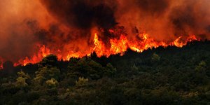 Μαίνεται η πυρκαγιά στη Βοιωτία – Οι φλόγες κύκλωσαν γηροκομείο που εκκενώθηκε