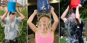 Ολος ο κόσμος