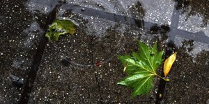 ΦΩΤΟΓΡΑΦΙΑ: EUROKINISSI/ΘΑΝΑΣΗΣ ΚΑΛΛΙΑΡΑΣ