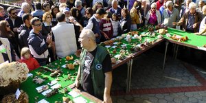 Καθιερωμένη γιορτή στο Μουσείο Φυσικής Ιστορίας Μετεώρων και Μουσείο Μανιταριών