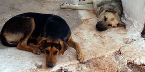 Η διοίκηση του νοσοκομείου Χανίων απειλεί με περικοπή μισθού τους εργαζόμενους π