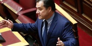 Αδωνις Γεωργιάδης 