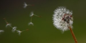 ΦΩΤΟΓΡΑΦΙΑ: EUROKINISSI