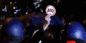 Διαμαρτυρίες στη Γερμανία κατά του AfD / Φωτογραφία: (AP Photo/Michael Probst)