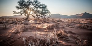 Εκτιμήσεις μελέτης της Τράπεζας της Ελλάδος και της Ακαδημίας Αθηνών