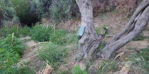 Φωτογραφία: astynomia.gr