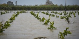 Αρχίζει η καταγραφή ζημιών στη Δυτική Ελλάδα (Φωτογραφία: EUROKINISSI)