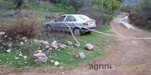 Φωτογραφία: agriniopress