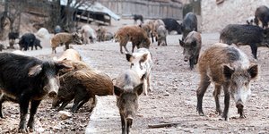ΦΩΤΟΓΡΑΦΙΑ ΑΡΧΕΙΟΥ: EUROKINISSI /ΒΕΡΒΕΡΙΔΗΣ ΒΑΣΙΛΗΣ