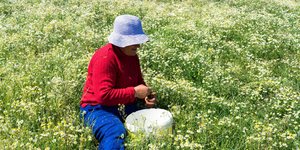 Aγρότισσα/Φωτογραφία: Eurokinissi