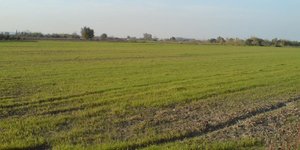 φόρος σε αγροτεμάχια