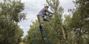 Αγρότης/ Φωτογραφία eurokinissi