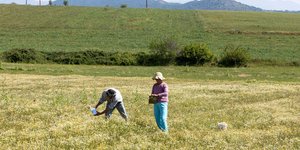 Φωτογραφία: Eurokinissi/Βασίλης Βερβερίδης