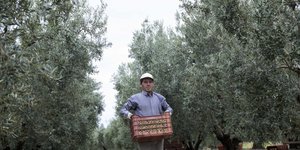 αγρότης σε χωράφι/Φωτογραφία: Eurokinissi