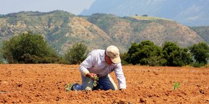 Γίνε αγρότης από το γραφείο σου