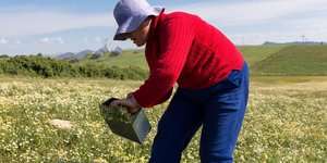 ΦΩΤΟΓΡΑΦΙΑ: ΜΟΤΙΟΝΤΕΑΜ/ΒΕΡΒΕΡΙΔΗΣ ΒΑΣΙΛΗΣ