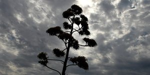 Φωτογραφία: intimenews.gr