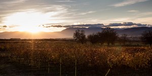 ΦΩΤΟΓΡΑΦΙΑ: Konstantinos Tsakalidis / SOOC