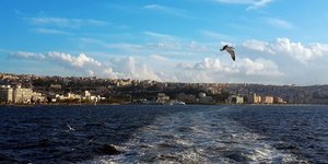 Φωτογραφία: pixabay