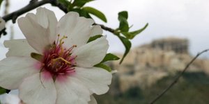 Φωτογραφία: EUROKINISSI/ΓΙΩΡΓΟΣ ΚΟΝΤΑΡΙΝΗΣ