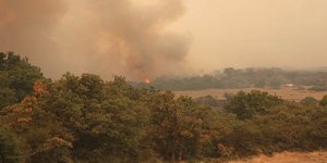 Φωτογραφία: evrosnews.gr