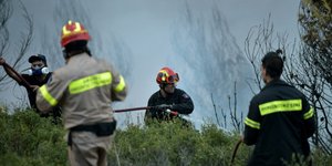 Σε εξέλιξη φωτιά στο 9ο χλμ Αλεξανδρούπολης- Μάκρης/ Φωτογραφία: ΜΠΟΛΑΡΗ ΤΑΤΙΑΝΑ/ Eurokinissi/Αρχείο