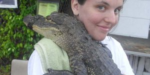 Πόσα θα πληρώνατε για να αγκαλιάσετε έναν αλιγάτορα; [βίντεο] 