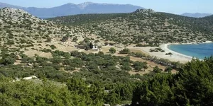 Δήμος Χάλκης