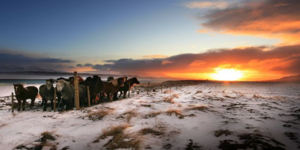 Ταξίδι στην χώρα των Βίκινγκ - H παγωμένη Ισλανδία στα καλύτερά της [εικόνες]