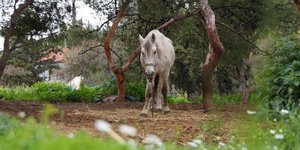 Φωτογραφία: Eurokinissi