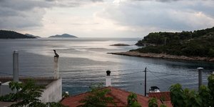 Φωτογραφία: SOOC