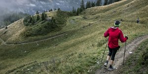 Οι φοιτήτριες απομακρύνθηκαν από τα μονοπάτια πεζοπορίας/ Φωτογραφία αρχείου: AP- Laurent Cipriani