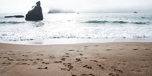 Φωτογραφία: Pixabay.com