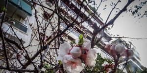 αίθριος καιρός/Φωτογραφία: Eurokinissi