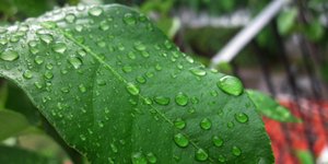 ΦΩΤΟΓΡΑΦΙΑ: EUROKINISSI