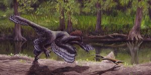 Λύθηκε το μυστήριο: Γι'΄αυτό δεν πετούσε ο «φτερωτός δεινόσαυρος» αγχιόρνις