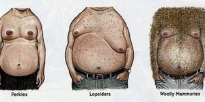 Οι 27 τύποι του ανδρικού στήθους με πολύ... χιούμορ [εικόνες]