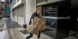 Πέταξαν σανό στα γραφεία των ΑΝΕΛ/Φωτογραφία: Eurokinissi