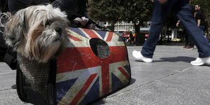 Φωτογραφία: Associated Press