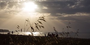 Φωτογραφία: SOOC