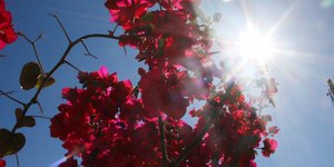 ΦΩΤΟΓΡΑΦΙΑ: EUROKINISSI